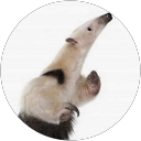 Ren S. profile picture