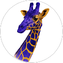 danielilloo profile picture