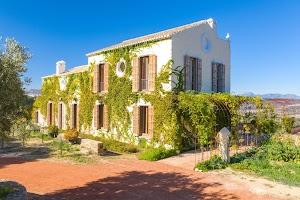 Cortijo LA Almazara LA Organic place picture