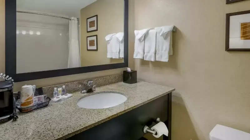 Comfort Inn & Suites Peachtree Corners, room with private jacuzzi, photo 5