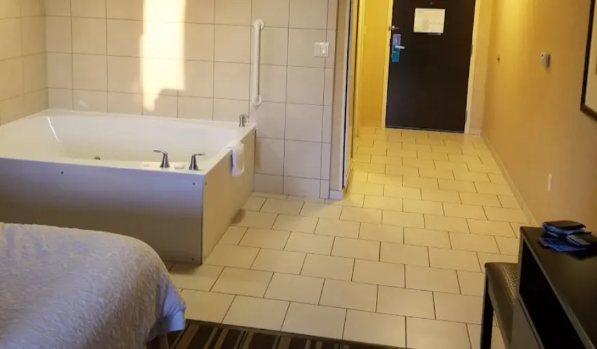 Hampton Inn And Suites Flint / Grand Blanc