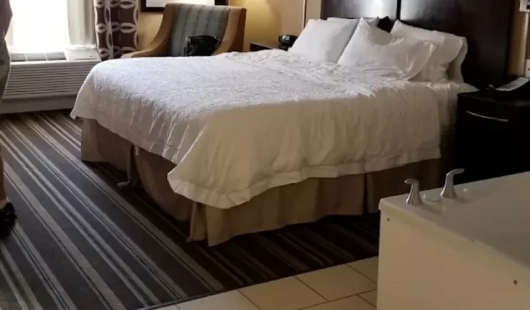 Hampton Inn And Suites Flint / Grand Blanc