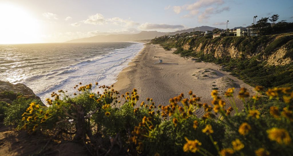 Malibu