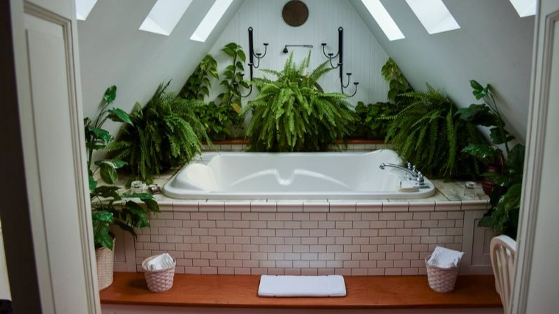 Wild Goose Inn Bed Breakfast 1 - jacuzzi hotel room