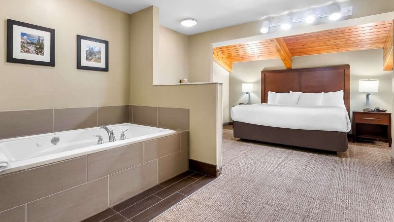 Comfort Inn & Suites Near University Of Wyoming