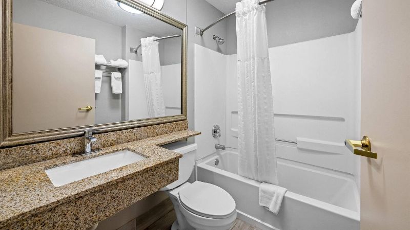 Microtel Inn & Suites by Wyndham Statesville, photo 5
