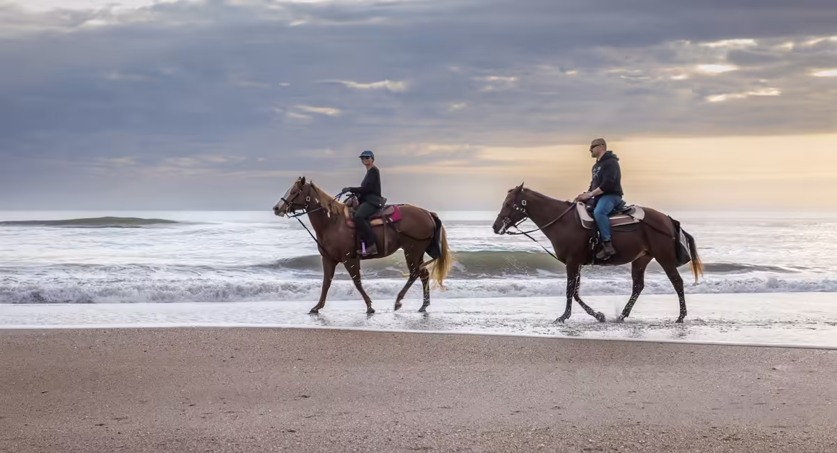 Amelia Island Horseback Riding