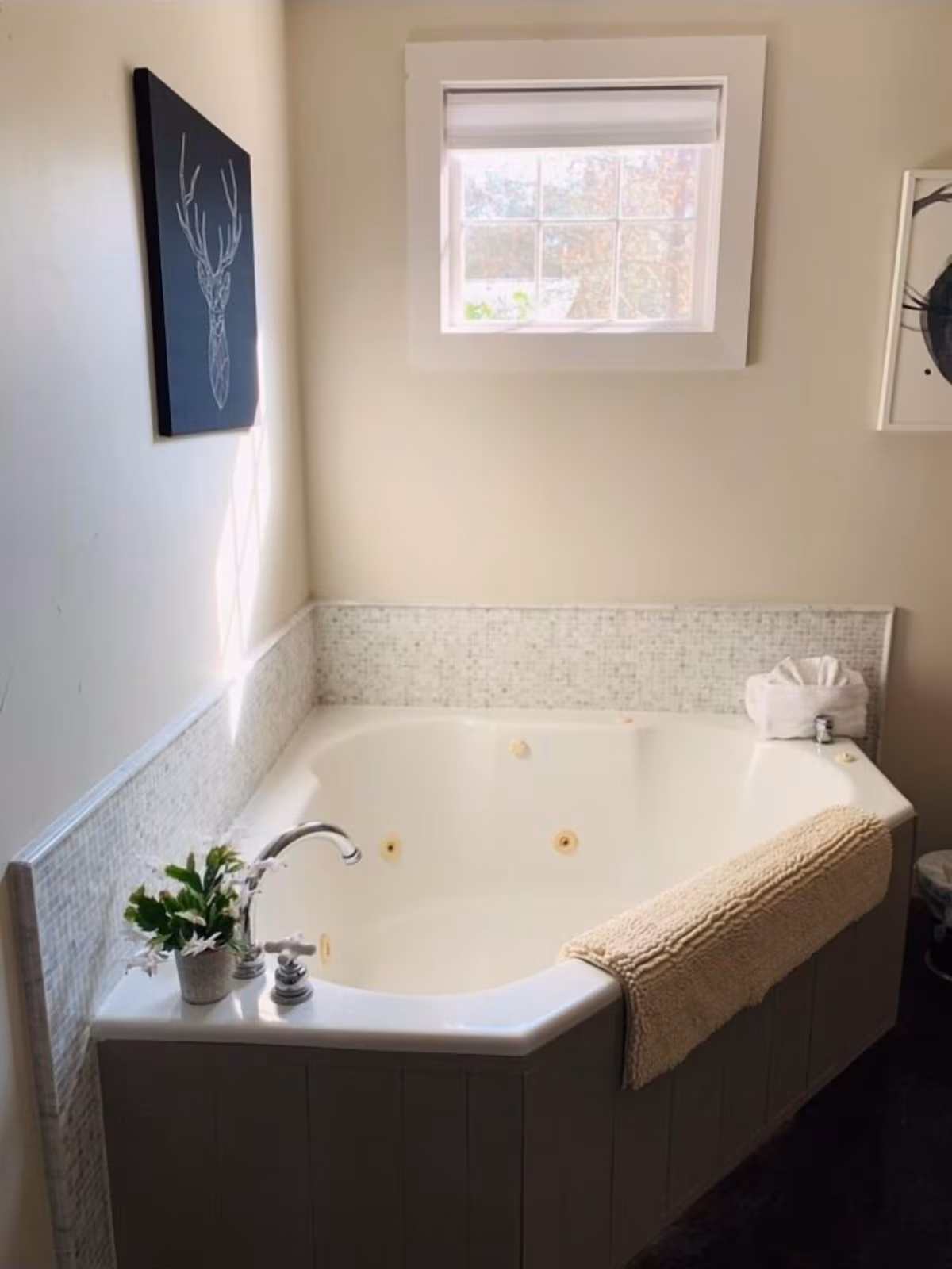 Bella Rosa Cottage, cabin with a private hot tub, photo 1