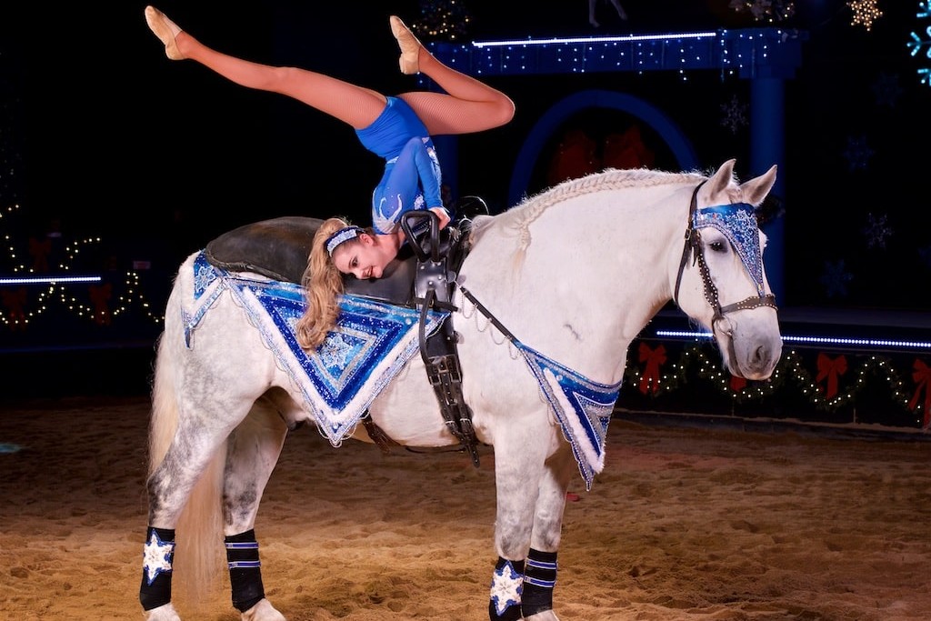 Dancing Horses Theatre