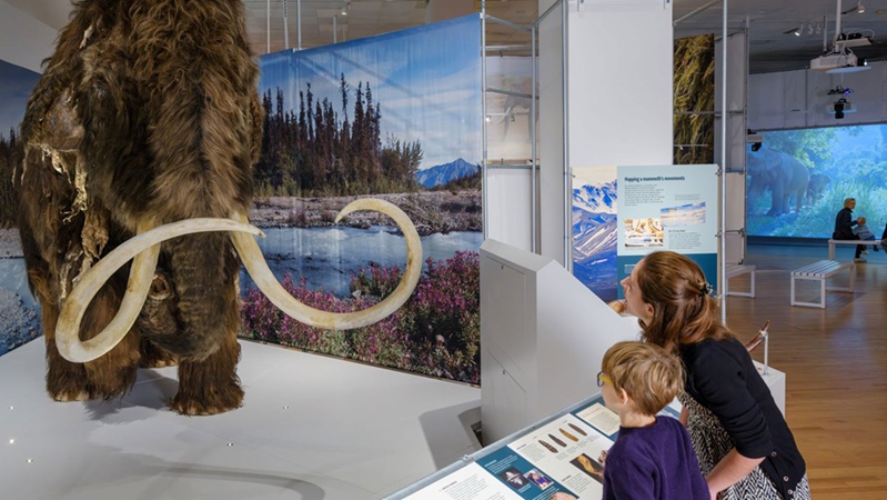 Denver Museum of Nature and Science