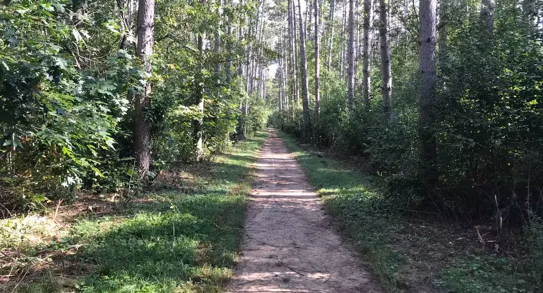 Scuppernong Loops