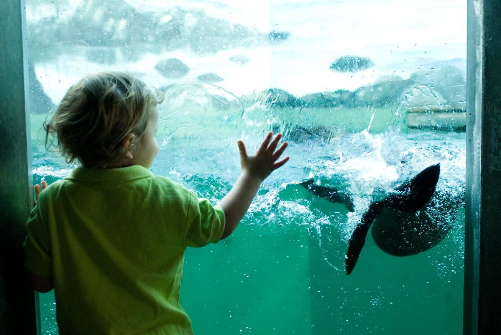 Seattle Aquarium