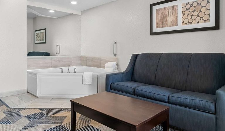 Best Western Plus Flint Airport Inn & Suites