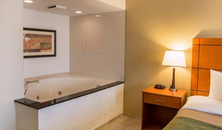 Comfort Inn Metro Airport