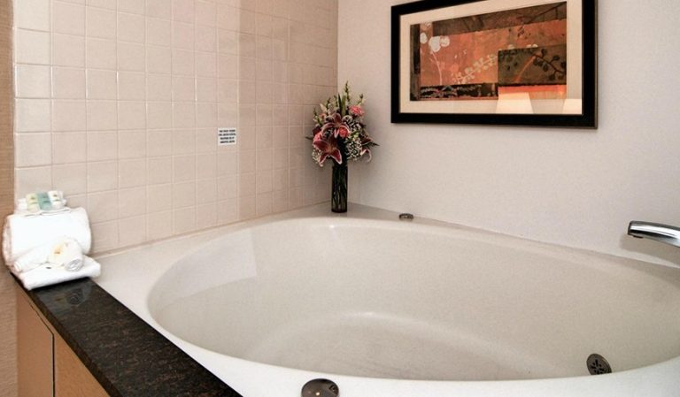 Comfort Inn Metro Airport
