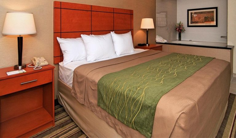 Comfort Inn Metro Airport