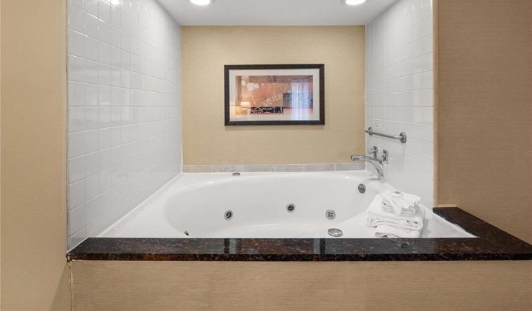 Comfort Inn Metro Airport