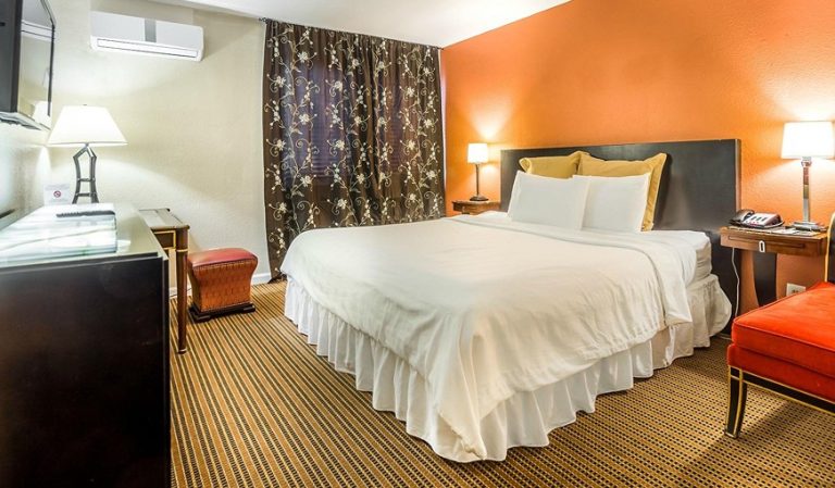 Lemon Tree Hotel and Suites
