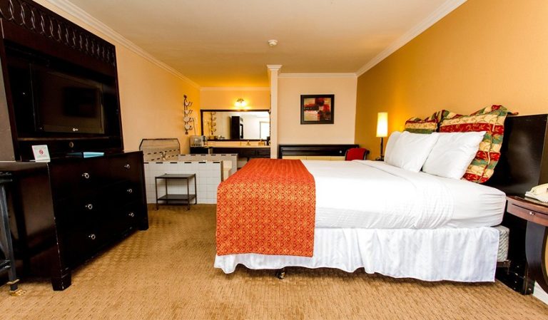 Lemon Tree Hotel and Suites