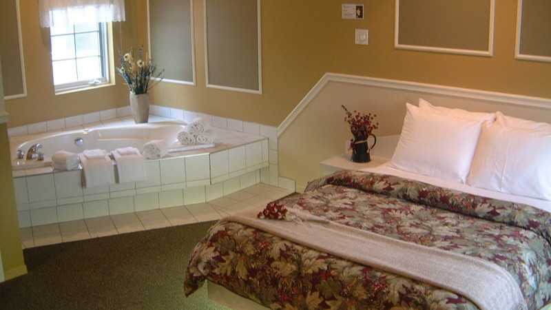 Motel La Cheminee1 - jacuzzi hotel room