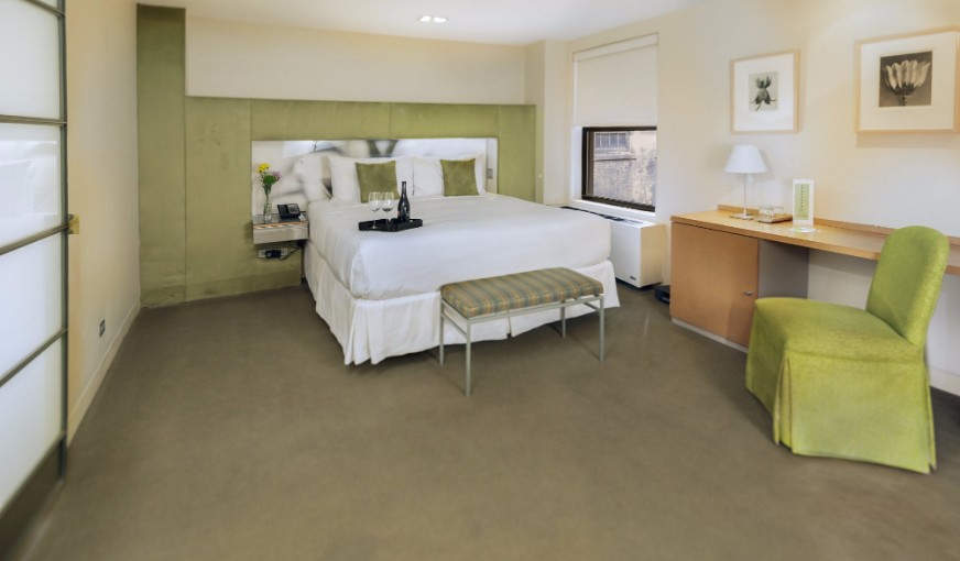 Shoreham Hotel, room with private jacuzzi, photo 4