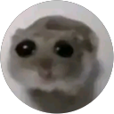 skyler uribe profile picture