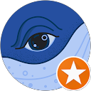 Michael Timm profile picture