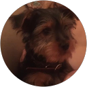 Anneli DiVirgilio profile picture