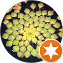 Lydia Rose profile picture