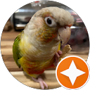 Gina Huber profile picture