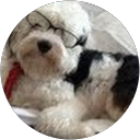 Paul Ambar profile picture