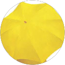 Da Y Son profile picture