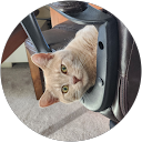 John Branning profile picture