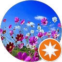 Ashi C profile picture