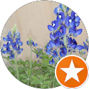 Renee P profile picture