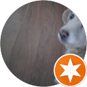 Ronnie Jazz profile picture