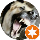 Chris Riehl profile picture