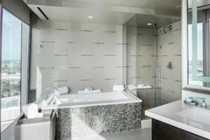 dallas 1 - jacuzzi hotel room