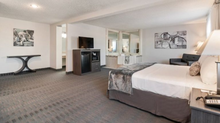 American Inn & Suites Romulus Dtw