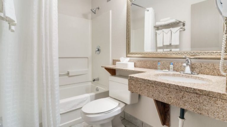 American Inn & Suites Romulus Dtw