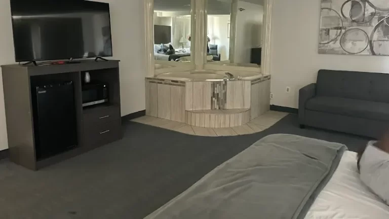 American Inn & Suites Romulus Dtw