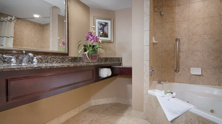 Buena Vista Suites Orlando