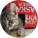 Jon Morris profile picture