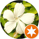 Joel&Holly Kambach profile picture