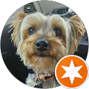 Nicholas Hinkle profile picture