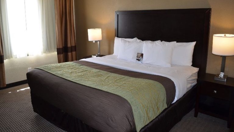 Comfort Inn Downtown Detroit