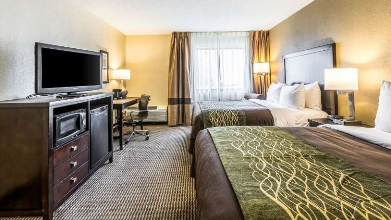 Comfort Inn Downtown Detroit