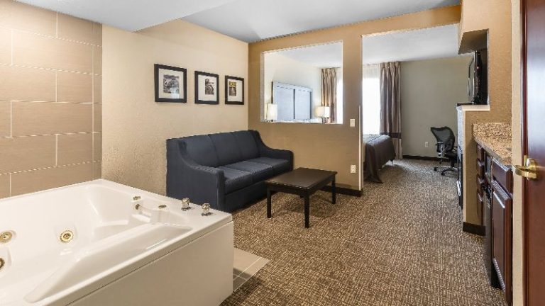Comfort Inn & Suites Allen Park - Dearborn
