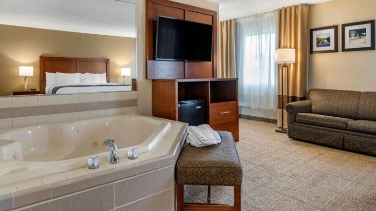 Comfort Inn & Suites Lansing - Dimondale