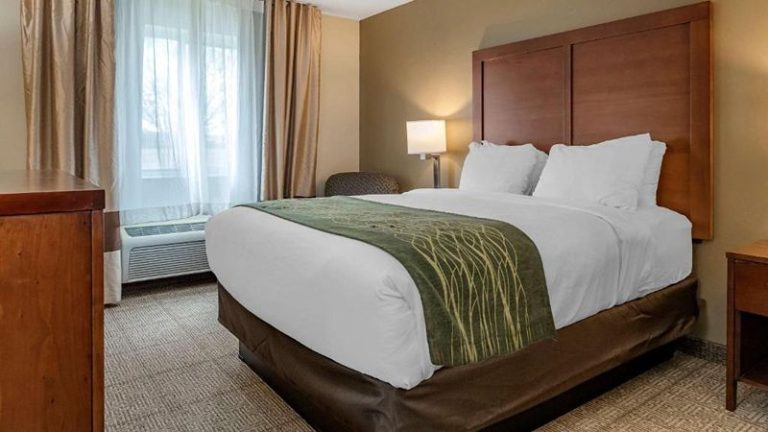 Comfort Inn & Suites Lansing – Dimondale
